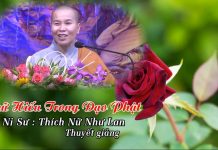Chữ hiếu trong đạo Phật – Thích Nữ Như Lan chu hieu trong dao phat thich nu