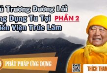 Chủ Trương Đường Lối Ứng Dụng Tu Tại Thiền Viện Trúc Lâm 2/3 – Thích Thanh Từ chu truong duong loi ung dung tu 2