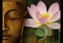 Chuẩn Bị Trước Lúc Chết – Thích Thiện Tuệ chuan bi truoc luc chet thich th