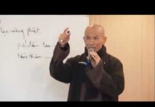 Chứng Đạo Ca 19 Sư Tử Hống – Thích Phước Tịnh chung dao ca 19 su tu hong thich