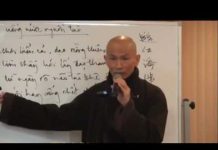 Chứng Đạo Ca 20 Giọt Nước Nguồn Tào – Thích Phước Tịnh chung dao ca 20 giot nuoc nguon