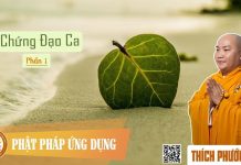 Chứng Đạo Ca Phần 1 – Thích Phước Tiến chung dao ca phan 1 thich phuoc