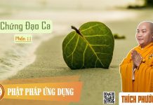 Chứng Đạo Ca Phần 11 – Thích Phước Tiến chung dao ca phan 11 thich phuoc