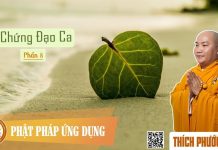 Chứng Đạo Ca Phần 8 – Thích Phước Tiến chung dao ca phan 8 thich phuoc