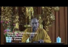 Chứng Đạt Chân Lý – Thích Tâm Đức chung dat chan ly thich tam duc