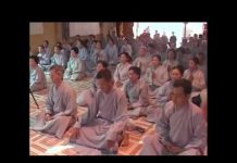 Chúng Ta Cùng Nhau Đi Tới Đời Sống Của Ánh Sang – Thích Thái Hòa chung ta cung nhau di toi doi so