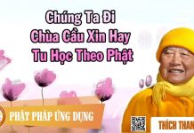 Chúng Ta Đi Chùa Cầu Xin Hay Tu Học Theo Phật – Thích Thanh Từ chung ta di chua cau xin hay tu