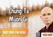 Chúng Ta Muốn Gì – Thích Nhất Hạnh chung ta muon gi thich nhat hanh