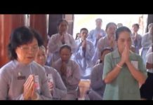 Chúng Ta Từng Làm Cha Mẹ – Thích Thái Hòa chung ta tung lam cha me thich t