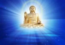 Chủng Tử – Thích Trí Huệ chung tu thich tri hue