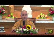 Chuyển Hóa 3 Chướng Ngại – Thích Pháp Hòa chuyen hoa 3 chuong ngai thich p