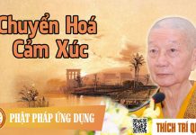 Chuyển Hoá Cảm Xúc – Thích Trí Quảng chuyen hoa cam xuc thich tri qua