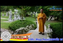 Chuyển Hóa Năng Lượng Tính Dục A(Kinh Trung Bộ 037) Full – Thích Nhật Từ chuyen hoa nang luong tinh duc a
