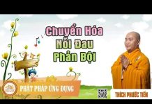Chuyển Hóa Nỗi Đau Phản Bội (KT04) – Thích Phước Tiến chuyen hoa noi dau phan boi kt04