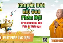 Chuyển Hóa Nỗi Đau Phản Bội (Transforming The Pain Of Betrayal) – Thích Phước Tiến chuyen hoa noi dau phan boi tran