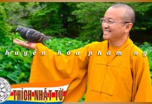 Chuyển hóa phàm ngu (09-08-2007) – Thích Nhật Từ chuyen hoa pham ngu 09 08 2007 t