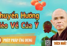 Chuyển Hướng Nẻo Về Của Ý – Thích Nhất Hạnh chuyen huong neo ve cua y thich
