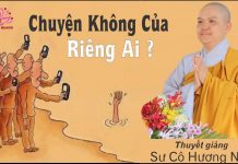 Chuyện Không Của Riêng Ai – Thích Nữ Hương Nhũ chuyen khong cua rieng ai thich