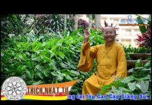 Chuyện Minh Họa Trong Hoằng Pháp – Thích Nhật Từ chuyen minh hoa trong hoang phap
