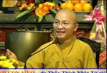 Chuyển nghiệp qua hình ảnh con mèo – Thích Nhật Từ chuyen nghiep qua hinh anh con m