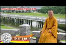 Chuyển Nghiệp Sống Thọ – Thích Nhật Từ chuyen nghiep song tho thich nha