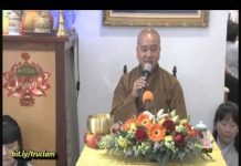 Cơ Duyên Phật Pháp- Thích Pháp Hòa co duyen phat phap thich phap ho