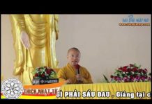 Có Gì Phải Sầu Đau – Thích Nhật Từ co gi phai sau dau thich nhat tu