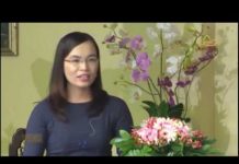 Có Hiểu Mới Có Thương – Thích Nữ Hương Nhũ co hieu moi co thuong thich nu h