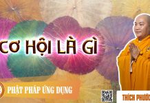 Cơ Hội Là Gì? – Thích Phước Tiến co hoi la gi thich phuoc tien