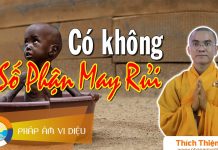 Có Không Số Phận Rủi May – Thích Thiện Tuệ co khong so phan rui may thich t
