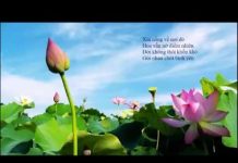 Có Lắng Lòng Nghe Mới Thấu Hiểu – Thích Minh Niệm co lang long nghe moi thau hieu
