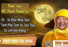 Có Linh Hồn Không, Sự Khác Nhau Giữa Giác Tánh Phật Tánh Và Tâm Thức – Tham vấn HT Thanh Từ 43 co linh hon khong su khac nhau g