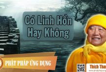 Có Linh Hồn Không – Thích Thanh Từ co linh hon khong thich thanh tu