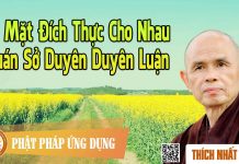 Có Mặt Đích Thực Cho Nhau – Quán Sở Duyên Duyên Luận – Thích Nhất Hạnh co mat dich thuc cho nhau quan s