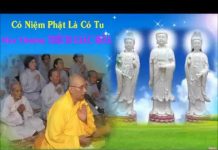 Có Niệm Phật Là Có Tu – Thích Giác Hóa co niem phat la co tu thich giac
