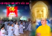 Có Phật Độ Dứt Sầu Lo – Thích Giác Hóa co phat do dut sau lo thich giac