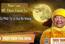 Có Phật Tỳ Lô Giá Na Không – Tham vấn HT Thanh Từ 29 co phat ty lo gia na khong tham