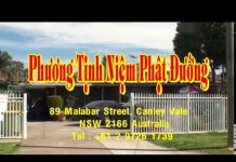 Có Phước Mới Bước Qua Được Nạn Tai – Thích Thiện Tuệ co phuoc moi buoc qua duoc nan t