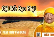 Cội Gốc Đạo Phật – Thích Thanh Từ coi goc dao phat thich thanh tu