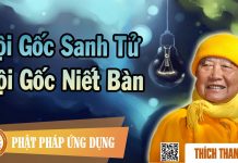 Cội Gốc Sanh Tử Cội Gốc Niết Bàn – Thích Thanh Từ coi goc sanh tu coi goc niet ban