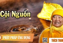 Cội Nguồn – Thích Thanh Từ coi nguon thich thanh tu