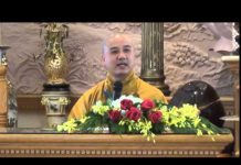 Cội Phước – Thích Pháp Hòa coi phuoc thich phap hoa