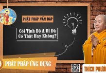 Cõi Tịnh Độ A Di Đà Có Thật Không? – Thích Phước Tiến coi tinh do a di da co that khon