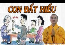 Con Bất Hiếu – Thích Thiện Tuệ con bat hieu thich thien tue