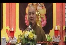 Con Cái – Thích Pháp Hòa con cai thich phap hoa