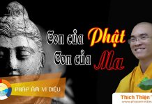 Con Của Phật – Con Của Ma – Thích Thiện Tuệ con cua phat con cua ma thich th