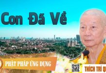 Con Đã Về – Thích Trí Quảng con da ve thich tri quang
