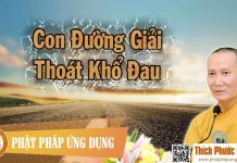 Con Đường Giải Thoát Khổ Đau – Thích Phước Nghiêm 2016 con duong giai thoat kho dau thi