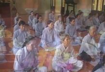 Con Đường Giải Thoát Sinh Tử – Thích Nữ Như Lan con duong giai thoat sinh tu thi