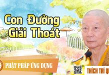 Con Đường Giải Thoát – Thích Trí Quảng con duong giai thoat thich tri q